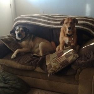 Meet your Posher, Paula